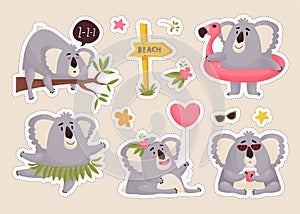 Vector set of cute Koala stickers. Funny stickers characters.