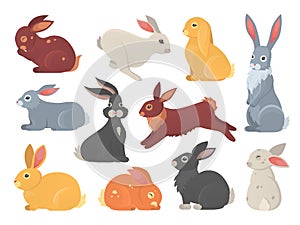 Vector set of cute rabbits in cartoon style. Bunny pet silhouette in different poses. Hare and rabbit colorful animals