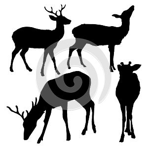 Vector Set of Dappled Deer Silhouetttes