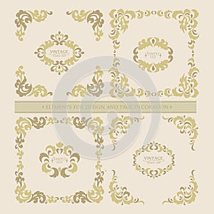 Vector set decorative floral elements, frame