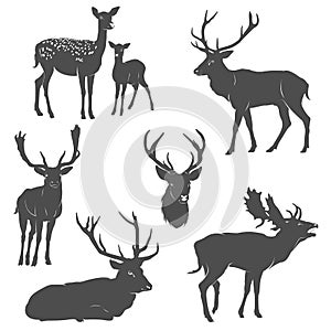 Vector set of deer silhouettes in different poses