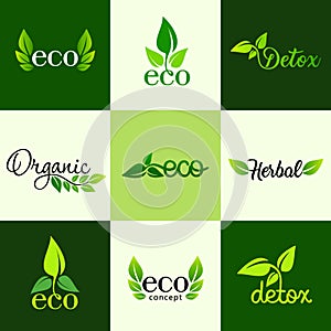 Vector set of design elements of the logo - a healthy diet, detox, organic and natural products