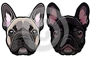 Vector set of french bulldog`s heads illustration photo