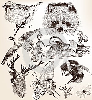 Vector set of detailed hand drawn animals in vintage style