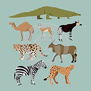 Vector Set Of Different African Animals. Animals of the African savanna Dromedary camel, crocodile, leopard, Okapi