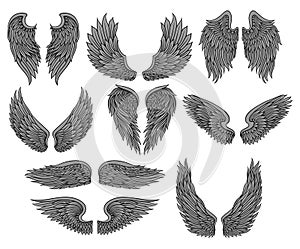 Vector set of different angel or bird wings with gray feathers and black contour. Old-school tattoo design. Elements for