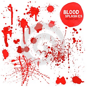 Vector Set of different blood splashes, drops and trail