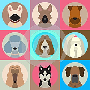 Vector set of different dog breeds app icons in flat style