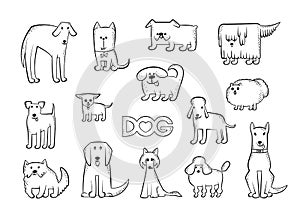 Vector set of different dog breeds. Funny caricature animals characters. Contour isolated black and white sketch