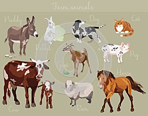 Vector set of different farm animals