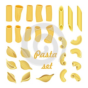 Vector set of different types of pasta isolated on white background.