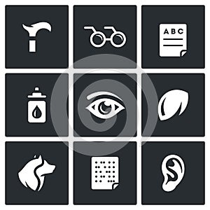 Vector Set of Disability Icons. Lameness, Blindness, Diagnostic, Prevention, Vision, Eye, Contact Lens, Guide, Braille