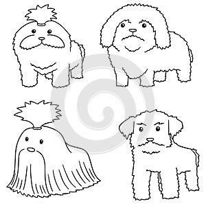 Vector set of dog, shih tzu