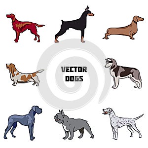 Vector set of dogs of various breeds