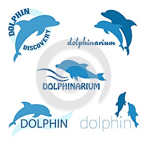 Vector set of dolphinarium design of logo photo