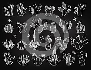 Vector Set of Doodle Cactus and Succulent Plants