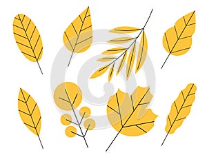 Vector set of doodle floral elements. Autumn collection. Flower graphic design. Autumn leaves collection. Flower graphic