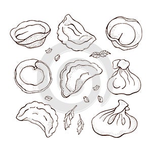 Vector set of dumplings with spice. Sketch hand drawn Ravioli. Vareniki. Pelmeni. Meat dumplings. Food. Cooking