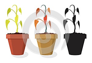 Vector set of dying home plants