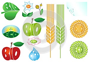 Vector set of eco and bio icons