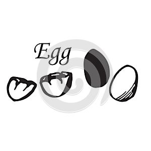 Vector set of egg in line art style. Sketch. Isolated on white background. Isolated