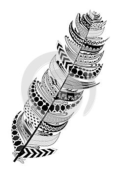 Vector Set of Ethnic feather. Hand Drawn Tribal Feathers. Decorative feathers.