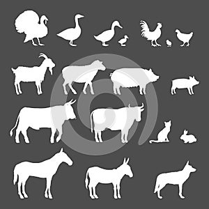 Vector Set of Farm Animals White Silhouettes