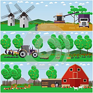 Vector set of farm, wheat field, countryside landscape posters