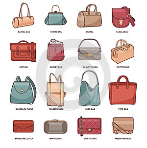 Vector set with fashion bags