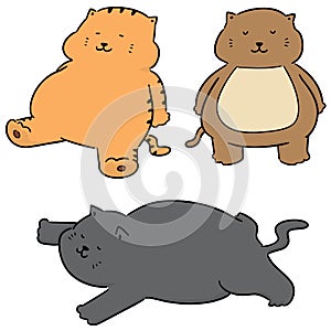 Vector set of fat cat