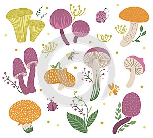 Vector set of flat funny mushrooms with berries, leaves and insects. Autumn clip art for childrenâ€™s design. Cute fungi