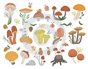 Vector set of flat funny mushrooms with berries, leaves and insects. Autumn clip art for childrenâ€™s design. Cute fungi