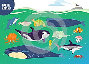 Vector set of flat hand drawn cute marine animals: whale, dolphin, fish, shark, jellyfish. photo