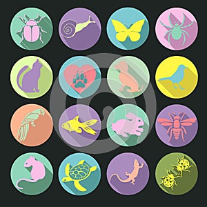 Vector set flat web icons animals and insects. Multicolored with long shadow in round frame for internet, mobile apps