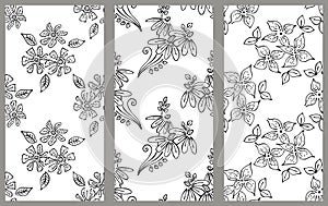 Vector set of floral illustration. Black and white seamless patterns with bouquet with flowers, leaves, decorative elements. Hand