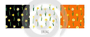 Vector set of floral seamless patterns with yellow daffodils isolated on white black and orange background. Endless