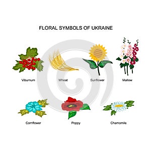 Vector set of floral symbols of Ukraine