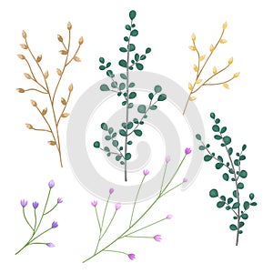Vector set of flowers bud, leaves, berries and branches, spring and summer element design.