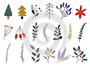 Vector set of flowers and leaves, christmas plants. Hand drawn design elements. New year collection. Winter icons
