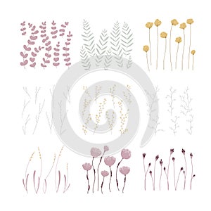 Vector set of flowers and leaves. The minimalistic flat. Vintage style collection. Pastel palette. For the design of