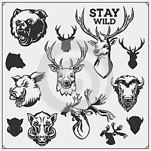 Vector set of Forest animals illustration and silhouette. Hunting club design.