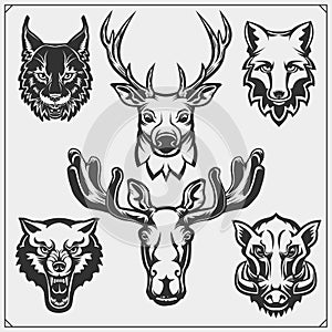 Vector set of forest animals. Template for hunting club emblems. Print design for t-shirt.