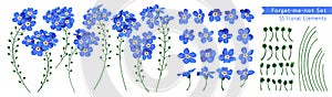 Vector set Forget-me-not flowers. Realistic, hand-drawn, detailed floral clip art elements.