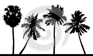 Vector set of detailed tropical palm trees silhouettes.