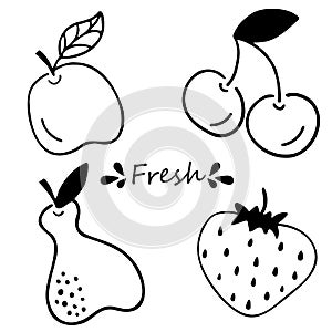 Vector set of fresh apple, pear, cherry and strawberry. Hand-drawn doodle set of fruit and berries