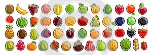 Vector set of fresh Fruits