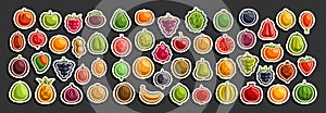 Vector set of fresh Fruits