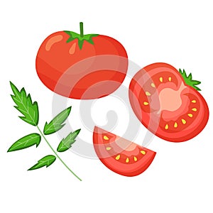 Vector set of fresh tomatoes in flat style. Cut tomato, slice and leaves isolated on white background. Illustration of