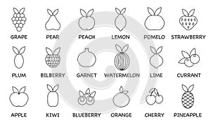 Vector set of fruit icons. A set of fruits. Contains ordinary fruits