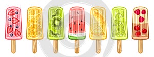 Vector set of Fruit Popsicle